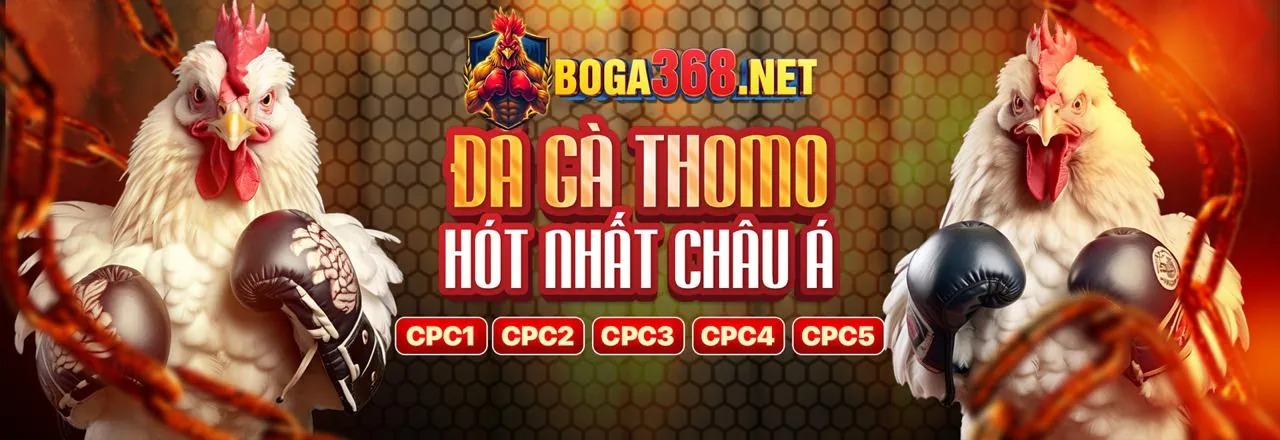 Ưu đãi sự kiện đá gà 8xbet Casino